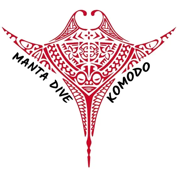 Manta Dive Komodo — PADI Dive Center Logo
