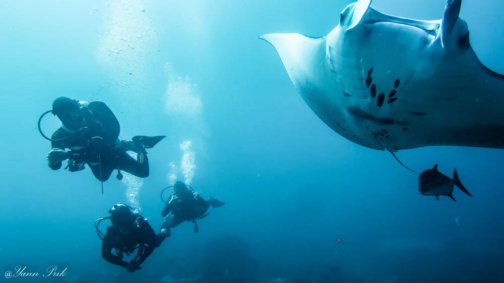 Small group of divers preparing to dive from a speed boat in Komodo